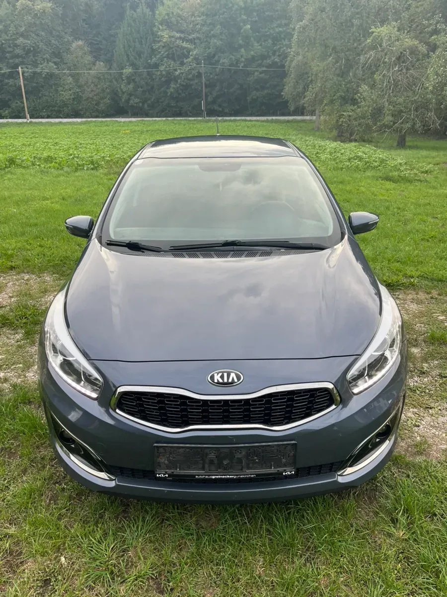 Kia Ceed 2016 photo 2