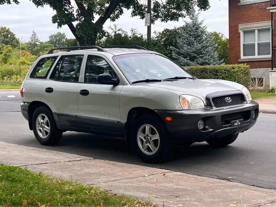 Hyundai Santa Fe 2002 photo 2