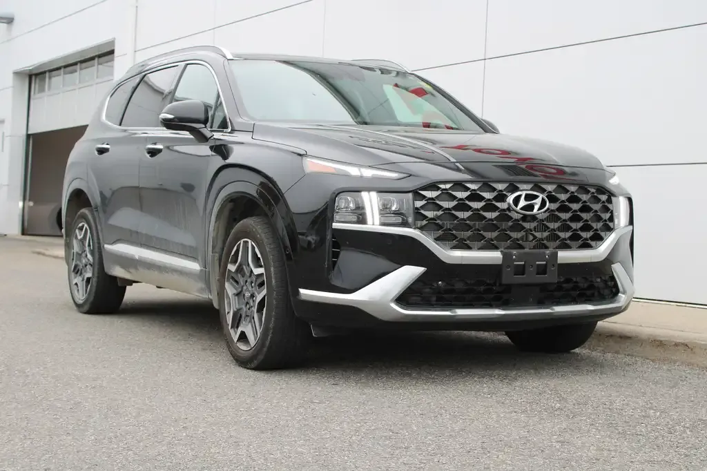 Hyundai Santa Fe 2021 photo 2