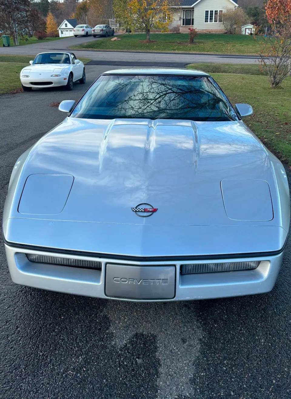 Chevrolet Corvette 1984 photo 2