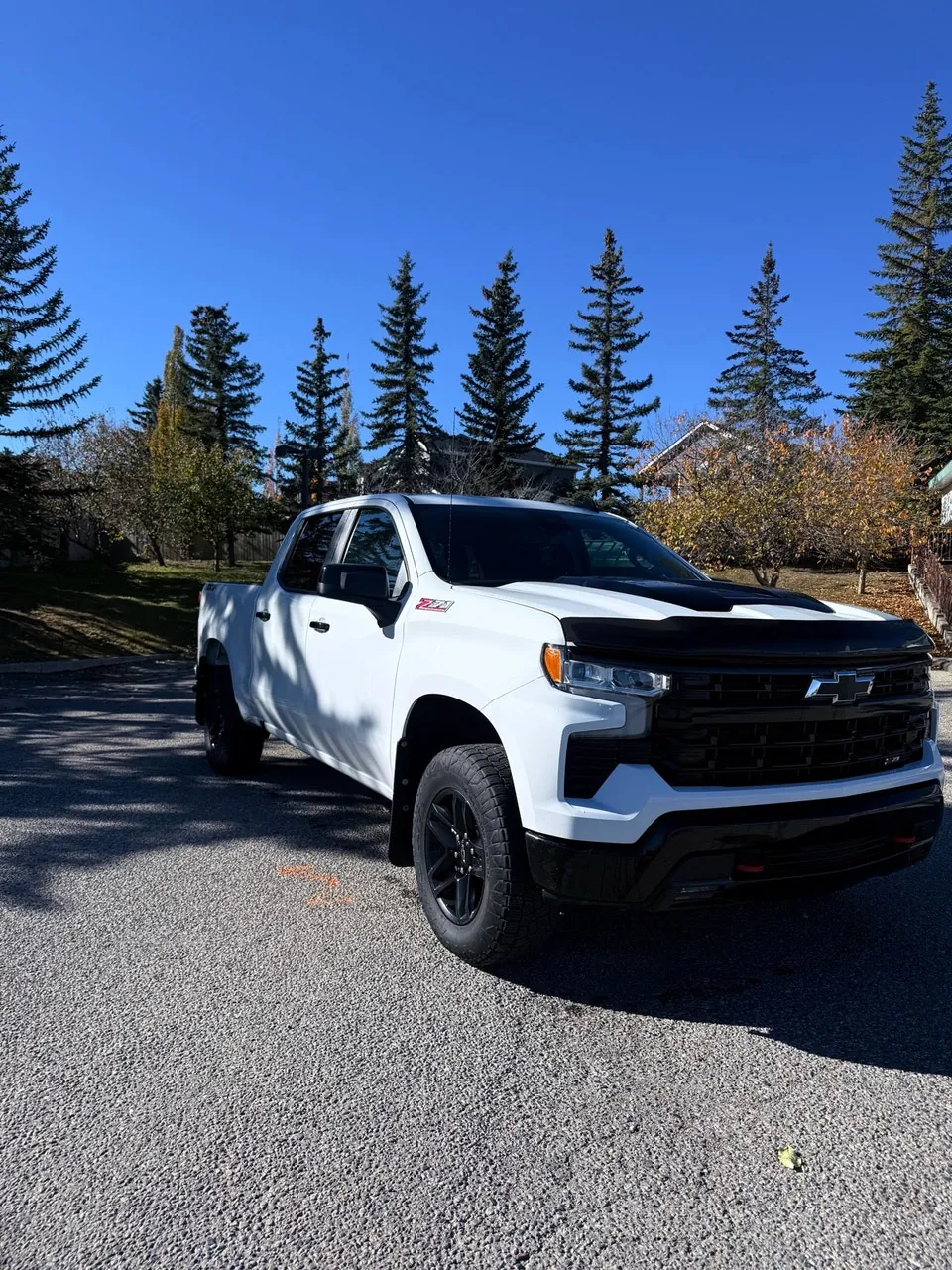 Chevrolet Silverado 1500 2024 photo 4