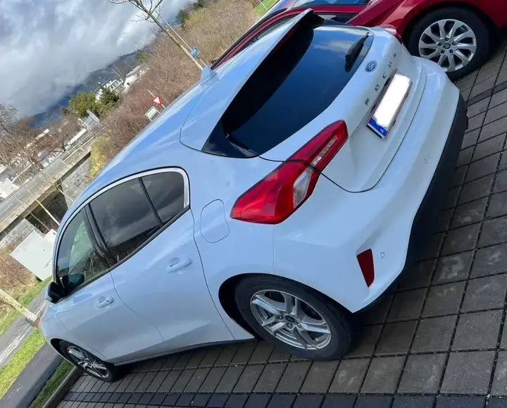 Ford Focus 2019 photo 3