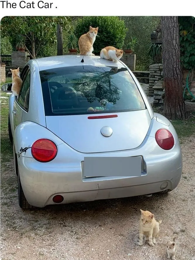 Volkswagen Beetle