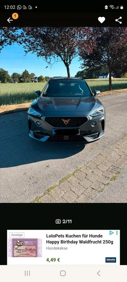 Cupra Formeton
