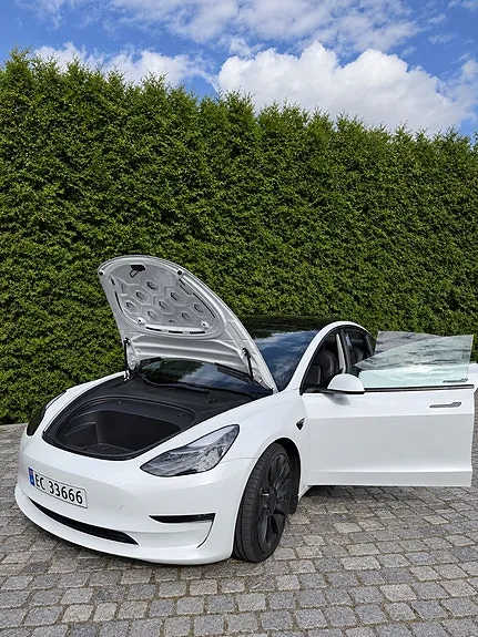 Tesla Model 3 2021 photo 3