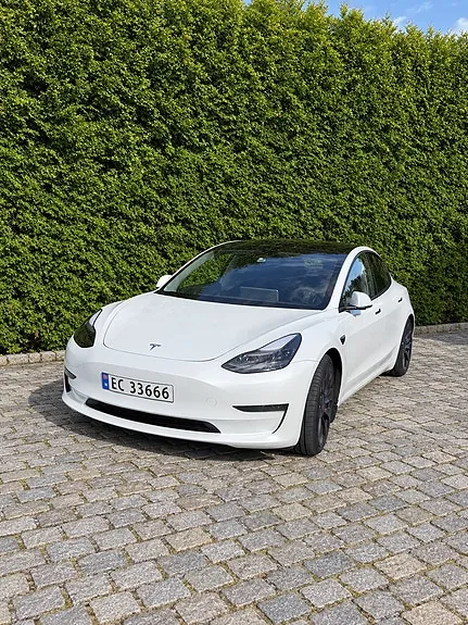 Tesla Model 3 2021 photo 2