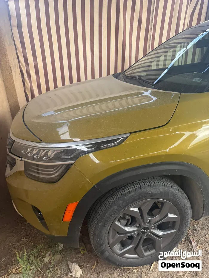 Kia Seltos 2024 photo 2