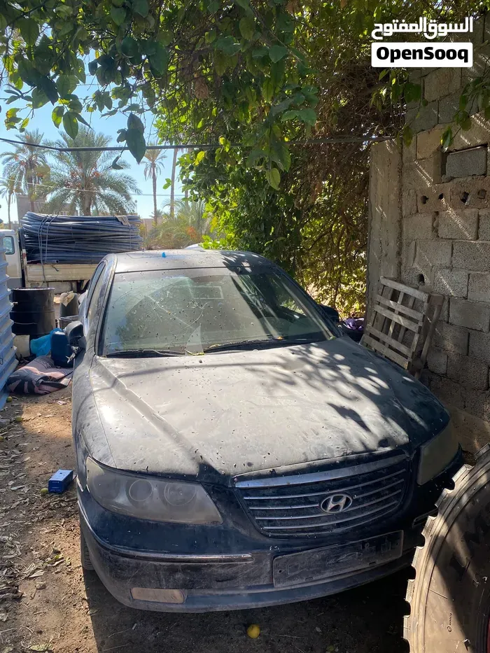 Hyundai Azera 2007 photo 5