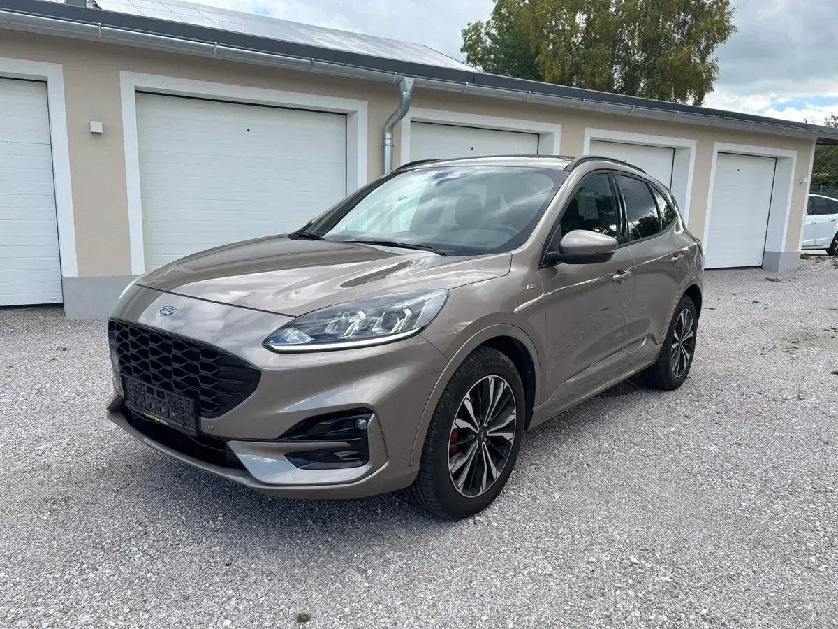Ford Kuga 2020 photo 3