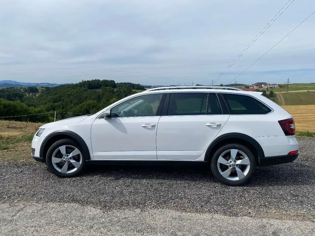 Skoda Octavia 2019 photo 2