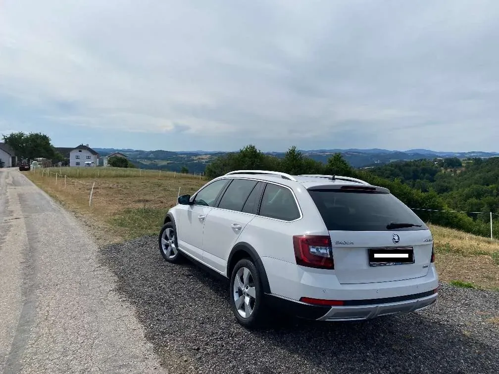 Skoda Octavia 2019 photo 3
