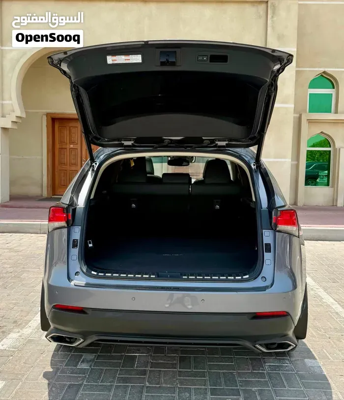 Lexus Nx 2018 photo 2