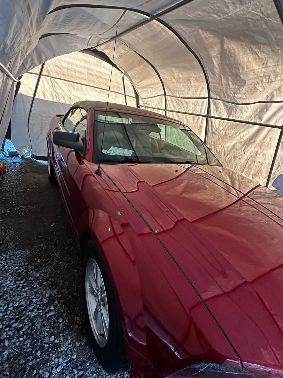 Ford Mustang 2008 photo 4