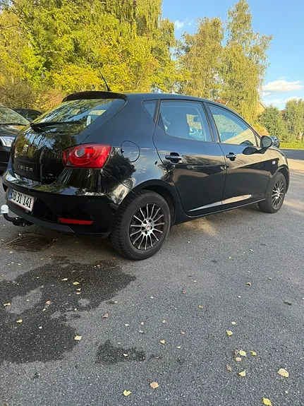 Seat Ibiza 2014 photo 3
