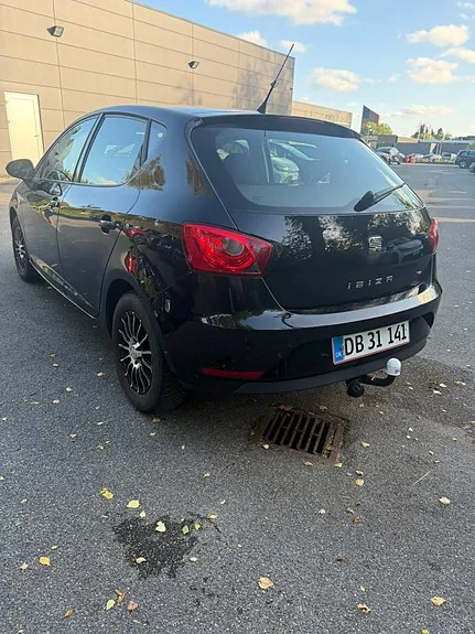 Seat Ibiza 2014 photo 5
