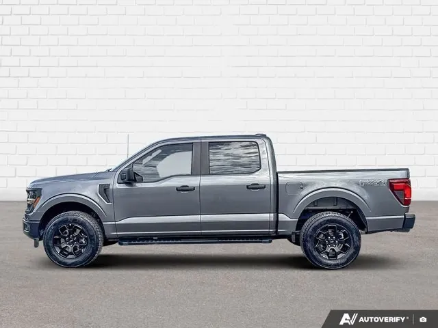Ford F-150 2024 photo 3