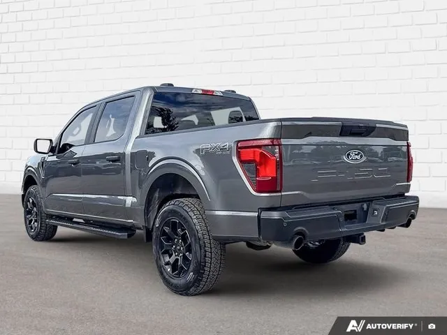 Ford F-150 2024 photo 4