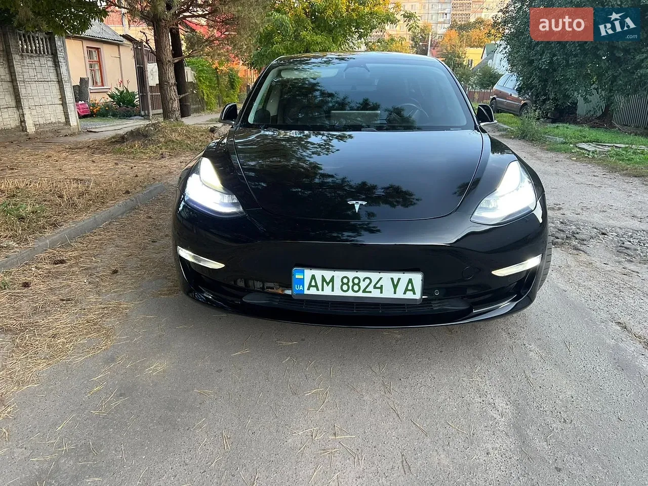 Tesla Model 3 2018 photo 2