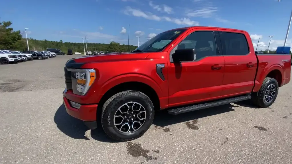 Ford F-150 2023 photo 4