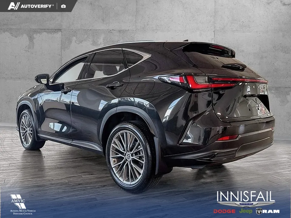 Lexus Nx 2022 photo 4