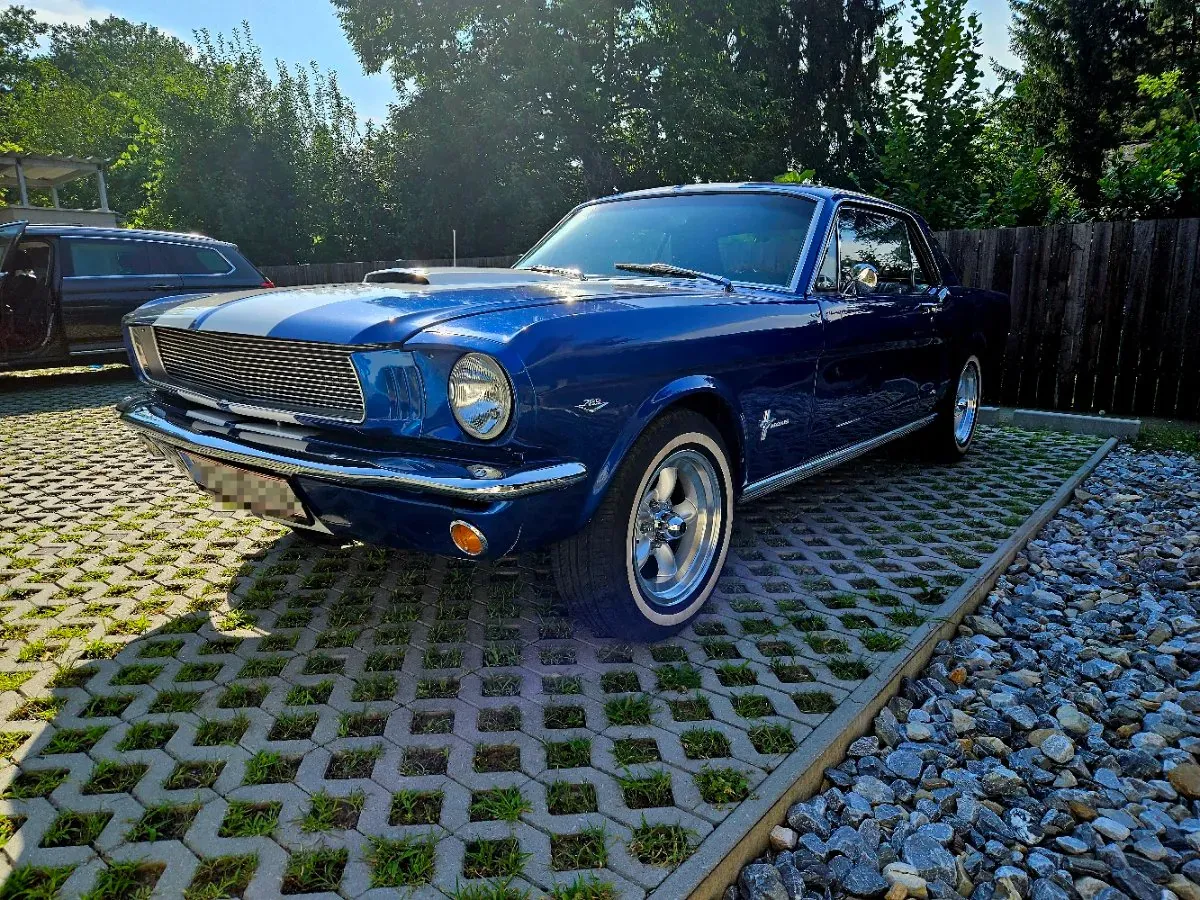 Ford Mustang 1965 photo 2