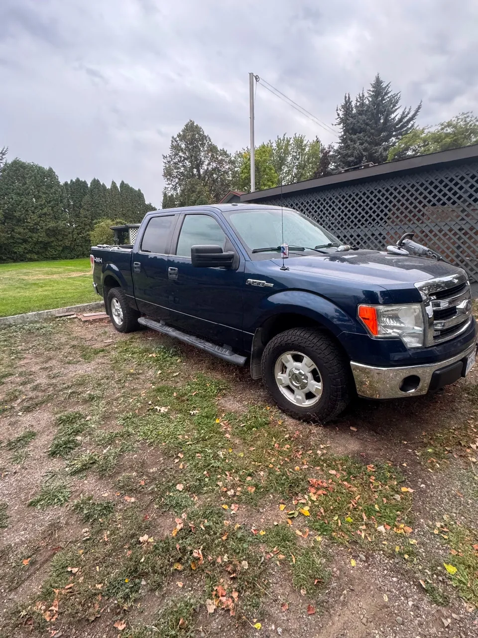 Ford F-150 2014 photo 2
