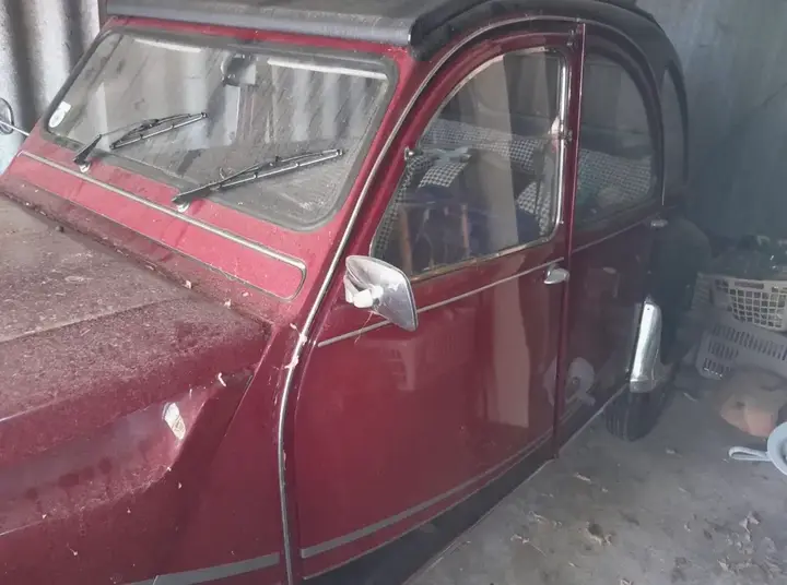 Citroen 2Cv 1981 photo 2