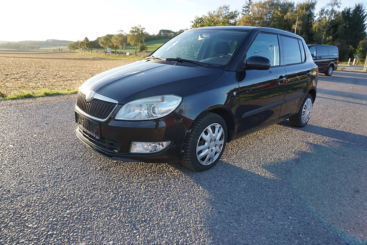 Skoda Fabia 2010 photo 2