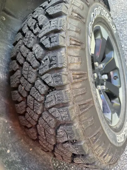 Ram Rebel 2024 photo 5