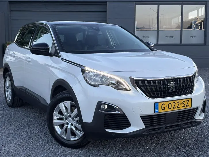 Peugeot 3008 2019 photo 2