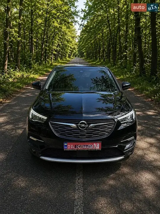 Opel Grandland X 2019 photo 4
