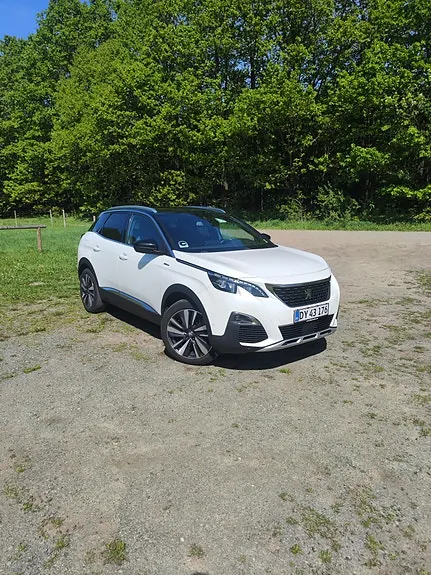 Peugeot 3008 2020 photo 5