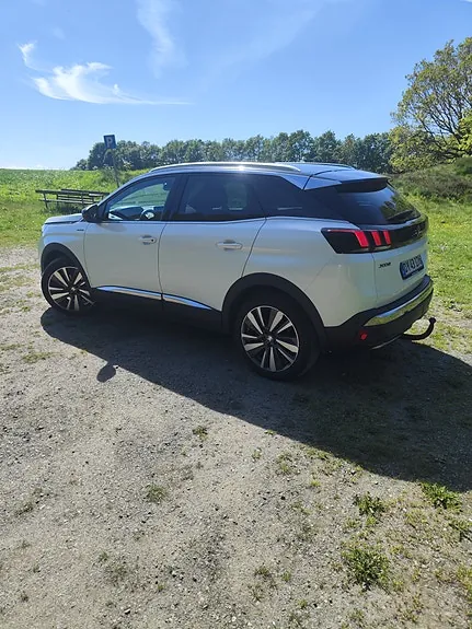 Peugeot 3008 2020 photo 2
