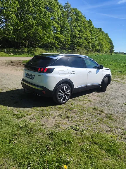 Peugeot 3008 2020 photo 4