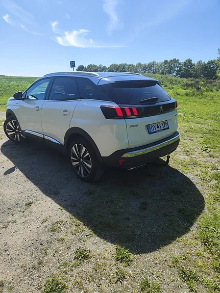 Peugeot 3008 2020 photo 3