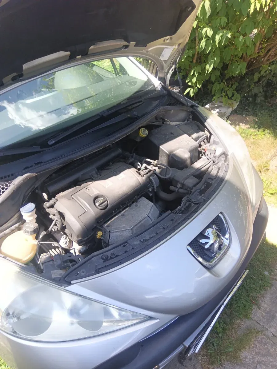 Peugeot 207 Sw 2008 photo 2
