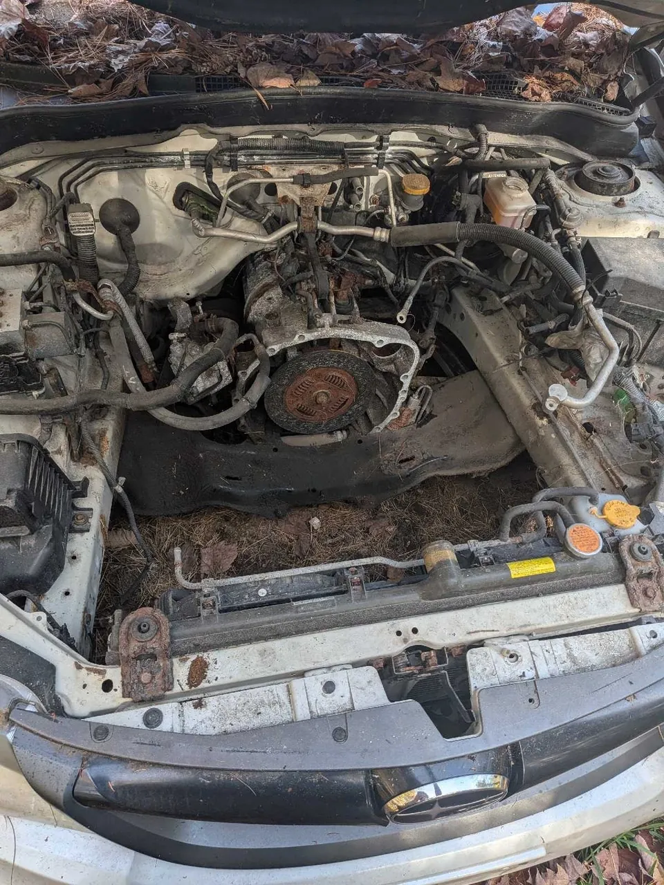 Subaru Impreza Wrx Sti 2012 photo 5