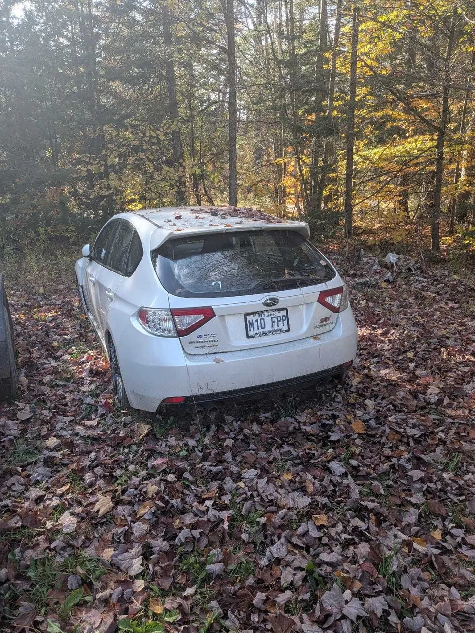 Subaru Impreza Wrx Sti 2012 photo 4