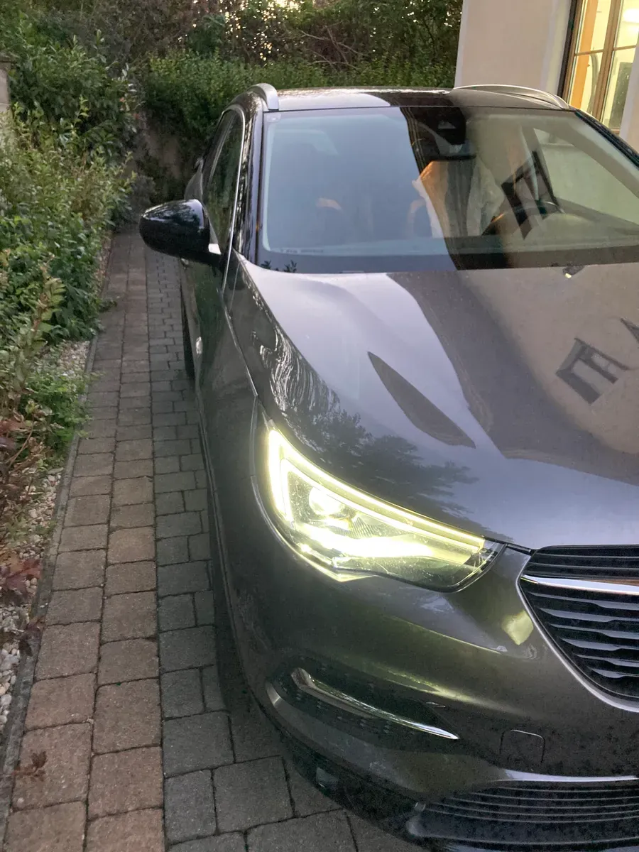 Opel Grandland X 2019 photo 3