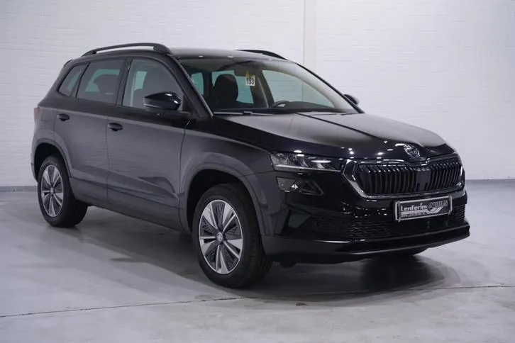 Skoda Karoq 2023 photo 3