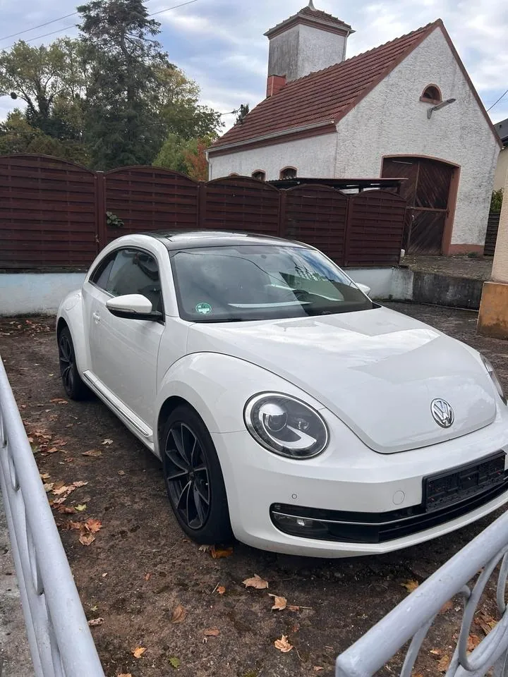 Volkswagen Beetle