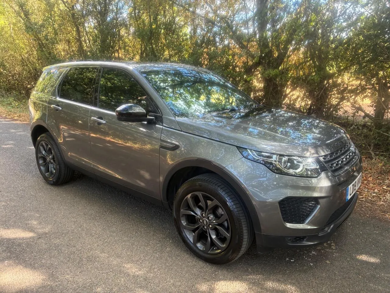 Land Rover Discovery Sport 2019 photo 2