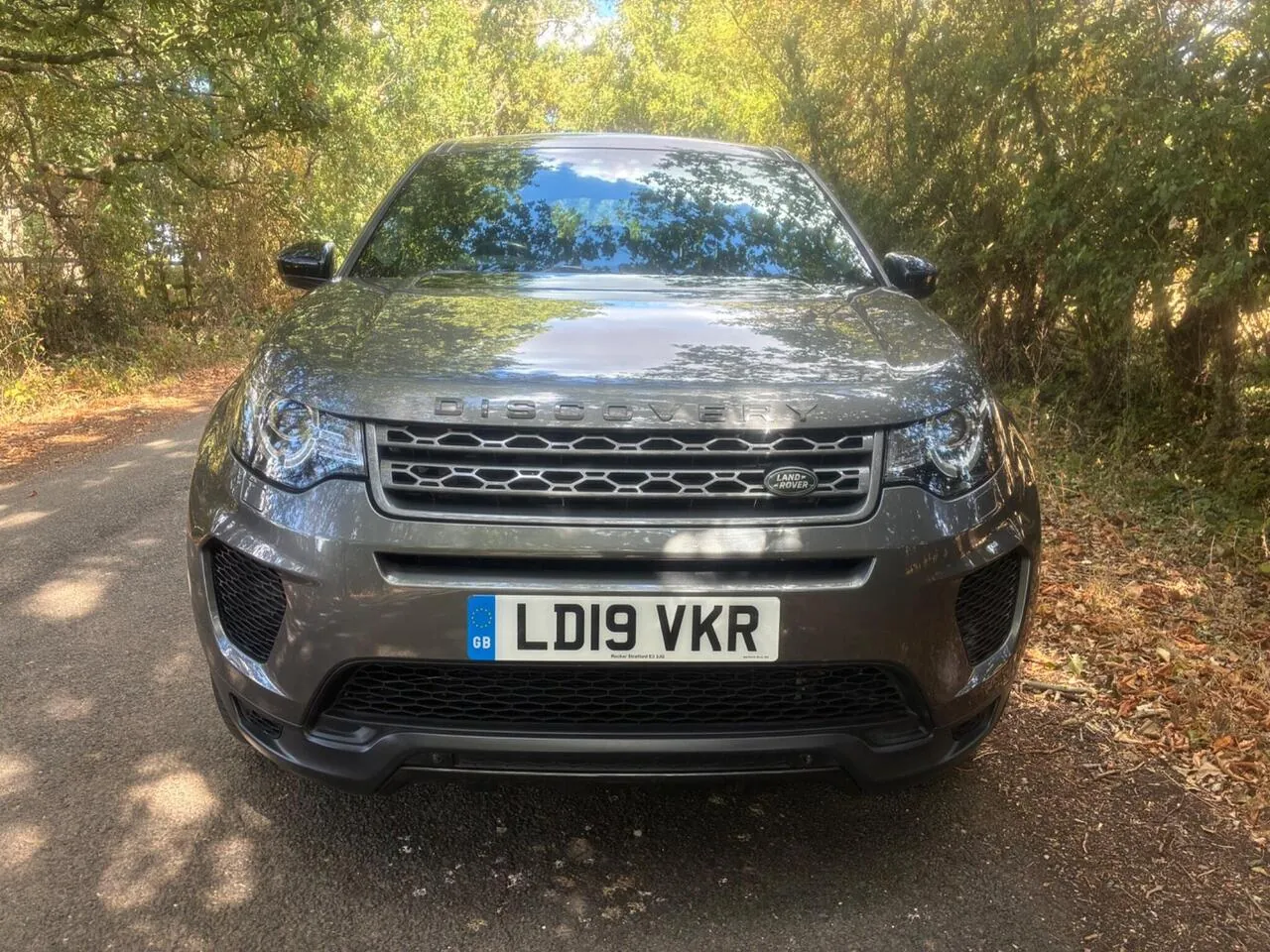 Land Rover Discovery Sport 2019 photo 4