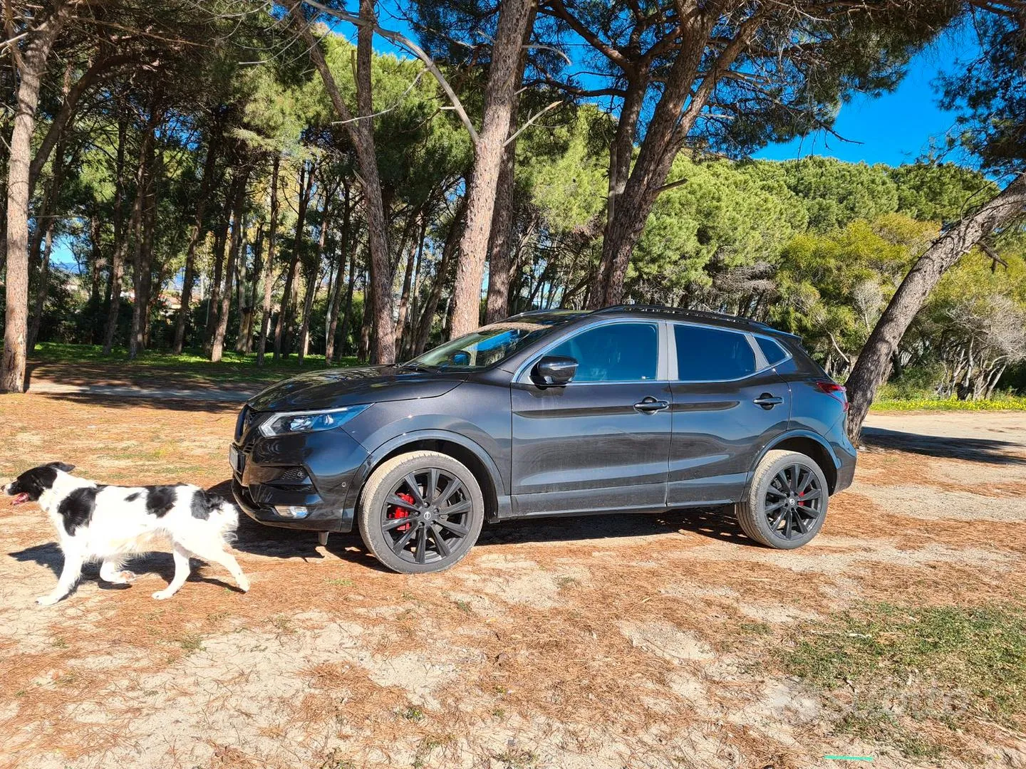 Nissan Qashqai 2020 photo 5