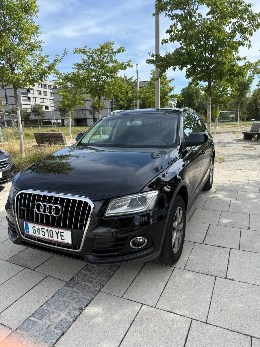 Audi Q5 2013 photo 2