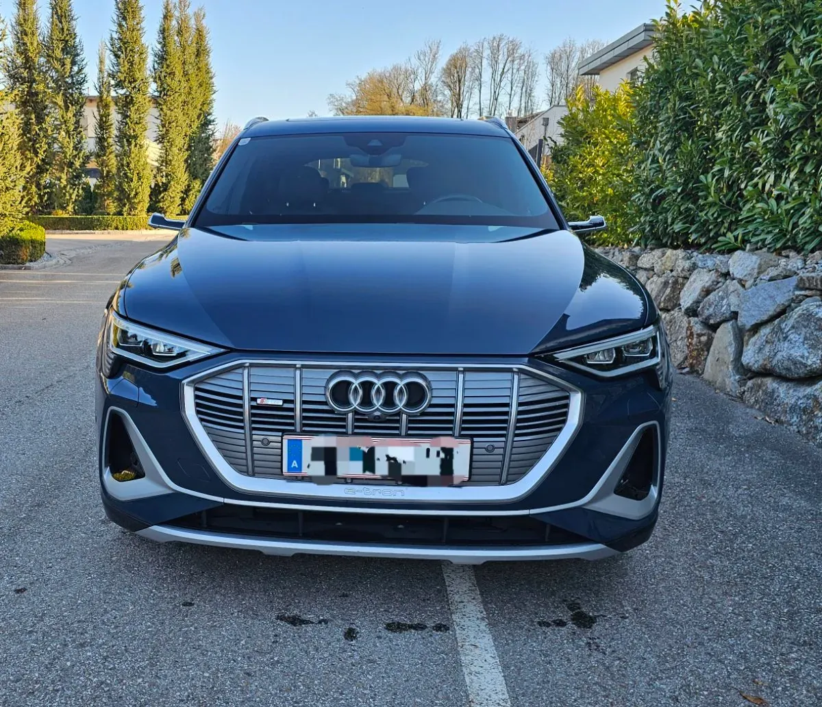 Audi E-Tron 2020 photo 2