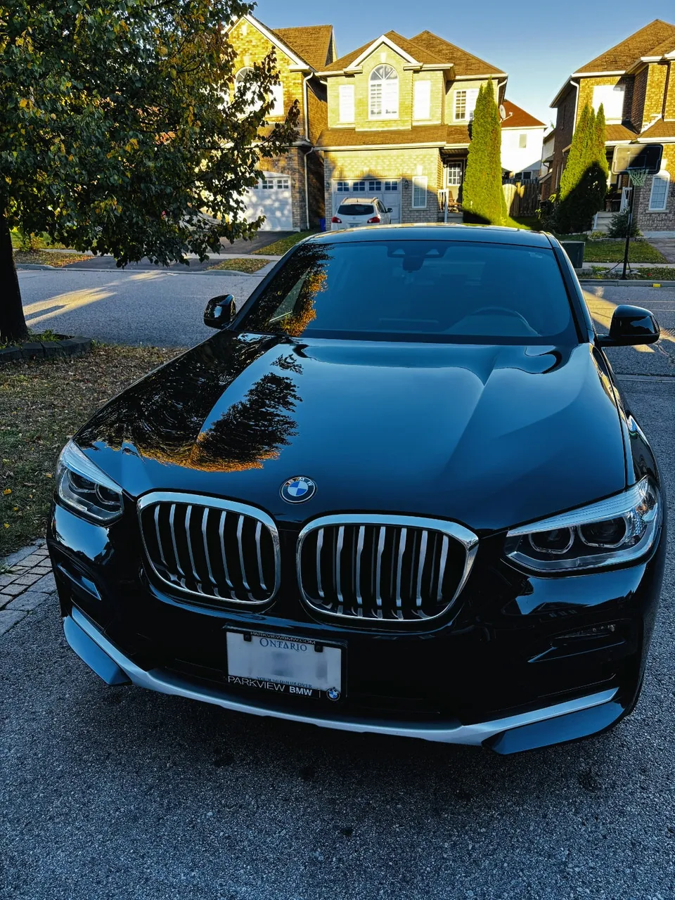 BMW X4 2020 photo 2