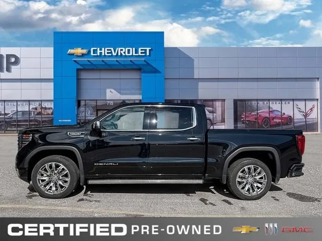 GMC Sierra 1500 2024 photo 2