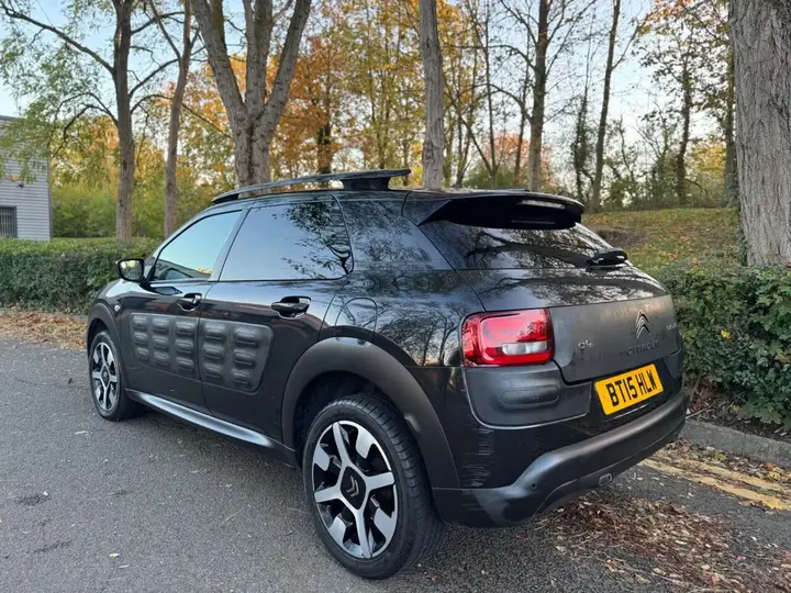 Citroen C4 Cactus 2015 photo 5