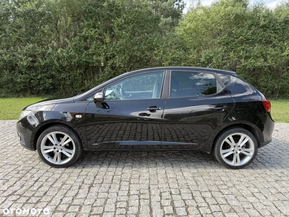 Seat Ibiza 2010 photo 5